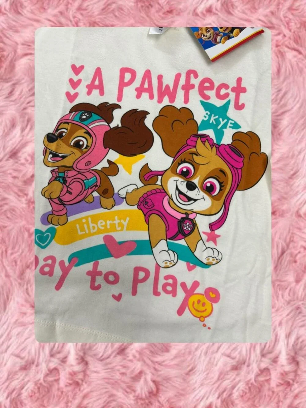 Paw Patrol Skye & Liberty 